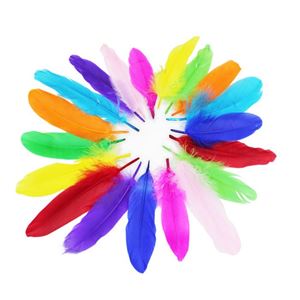 图片 DIY 彩色手工羽毛