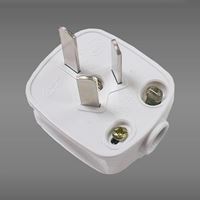 图片 公牛转换器  250V