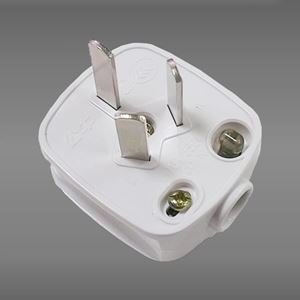图片 公牛转换器  250V