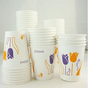 图片 一次性花色纸杯 250ml 