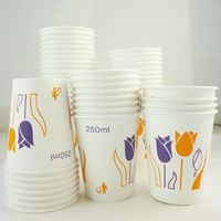 图片 Winon花色纸杯250ML 100只/包
