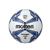 图片 FIFA 公认足球 