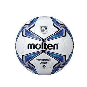 图片 FIFA 公认足球 