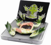 图片 仿真青蛙解剖模型  Simulated frog anatomy model