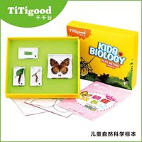 图片 蝴蝶成长记