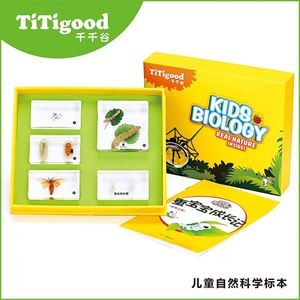 图片 蚕宝宝成长记