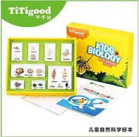 图片 背着漂亮房子的海螺