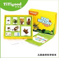 图片 太阳的孩子棉花/五颜六色的花朵/粮食家族/米饭是怎么来的