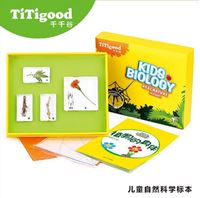 图片 植物的身体/有毒的植物/各种各样的蘑菇