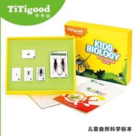图片 蝗虫成长记/穿着盔甲的金龟子