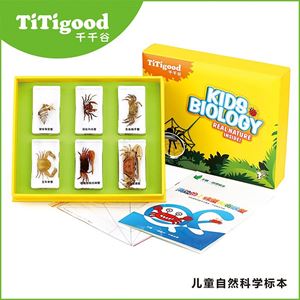 图片 螃蟹和寄居蟹