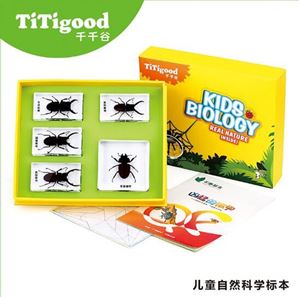 图片 凶猛的锹甲/小蟋蟀成长记
