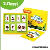 图片 好吃的坚果/豆子的一家/碗豆是怎么长大的/竹子的秘密