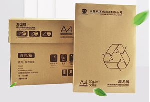图片 海龙系列 复印纸 A4-80G 5包/箱