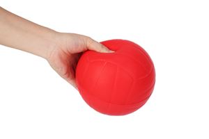 图片 8“PVC排球