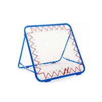 图片 Multi Basktball system   反弹球门
